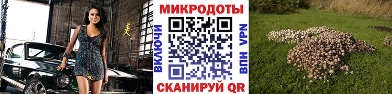 Псилоцибиновые грибы ЛСД  ссылка на мегу маркетплейс  Урюпинск 
