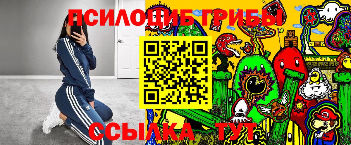 Урюпинск  Псилоцибиновые грибы Psilocybine cubensis  Вход с VPN 